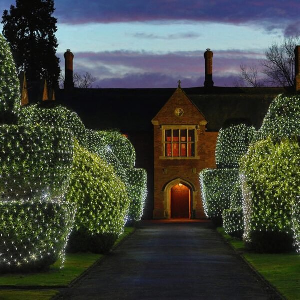 guirlandes lumineuses  led filet 3M/3M – Image 4