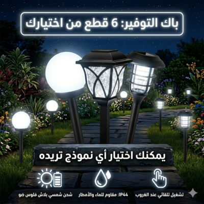 PACK DE 6 LAMPE SOLAIRE - 3 MODELS
